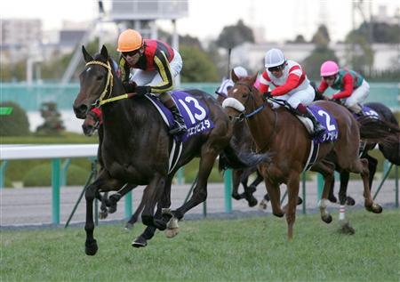 ブエナビスタ画像20081215.jpg