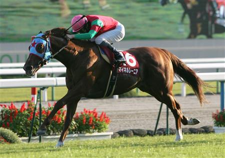 マイネルレーニア画像20081101.jpg